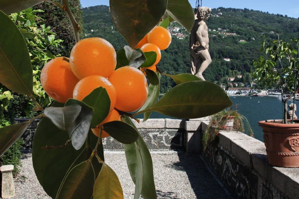 From Stresa: Lake Maggiore and Isola Bella Private Boat Tour - Customer Reviews