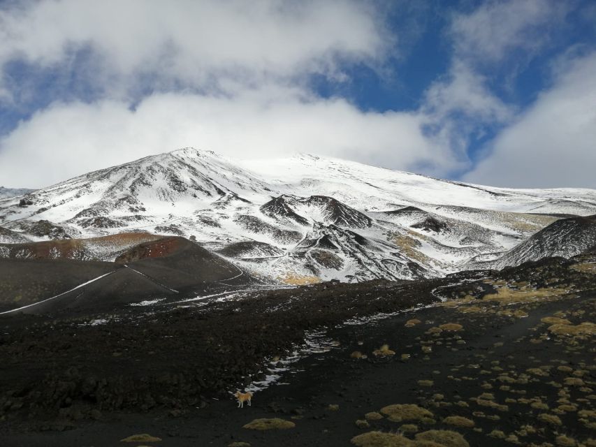 From Taormina or Catania: Private Full-Day Mount Etna Hike - Itinerary