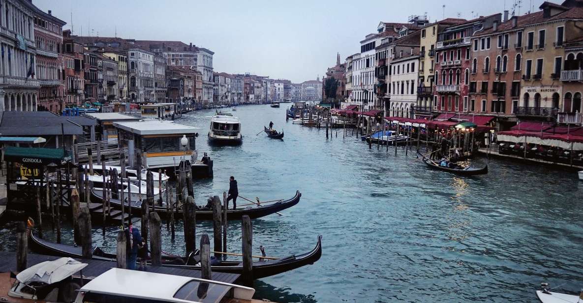 From Zagreb: Transfer to Venice - Private Group Experience Benefits