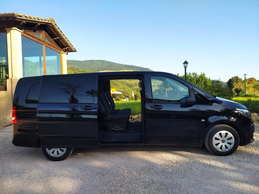 Half Day or Full Day Van Rental With Driver at Your Disposal - Description