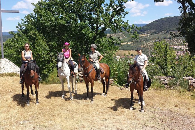 Horseback Riding & Wine Tasting With Lunch at a Historic Estate - Cancellation Policy Details