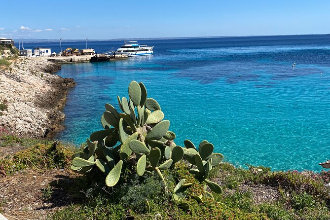 Mini Cruise to Favignana and Levanzo With Lunch on Board - Reviews and Ratings