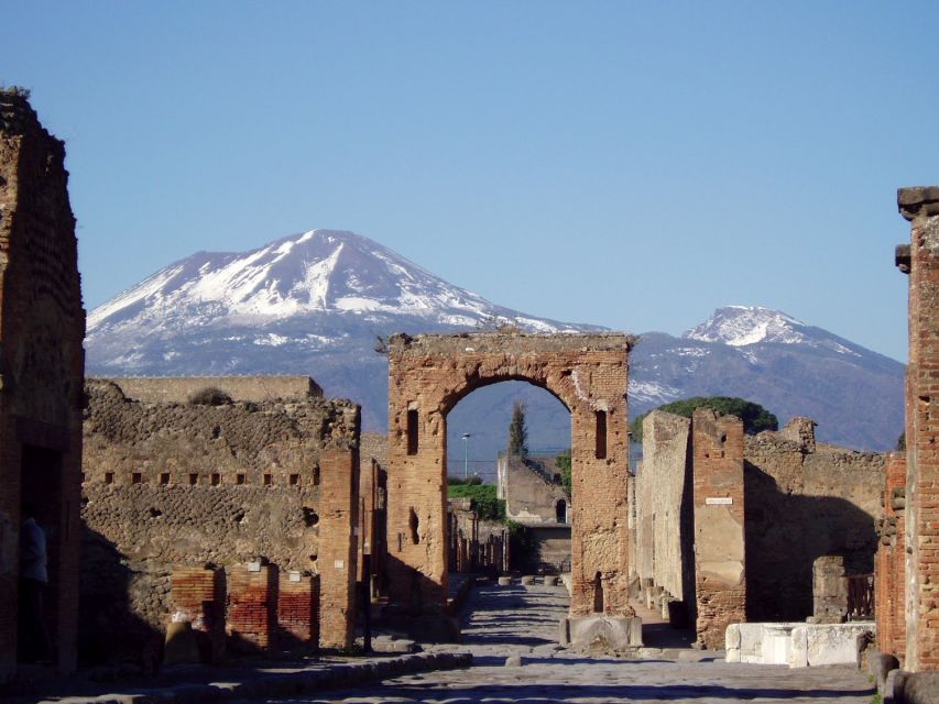 Naples: Full-Day Pompeii & Herculaneum Wine Tasting Tour - Itinerary Details
