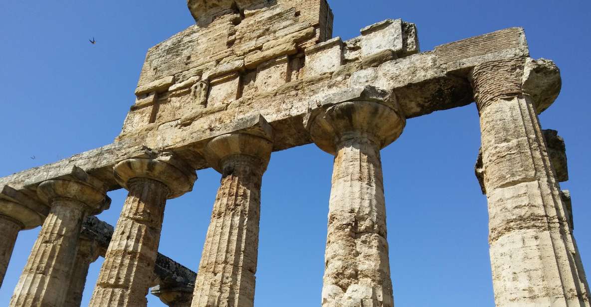 Naples: Go to Paestum by Car and Visit the Temples - Driver and Pickup Details
