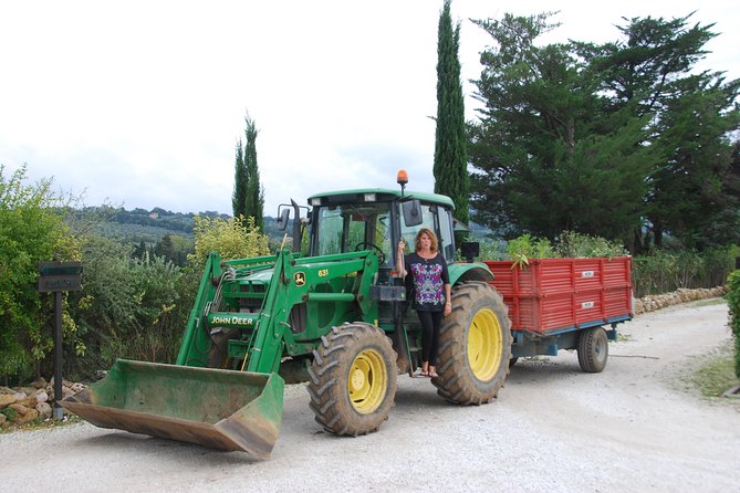 Pienza, Val Dorcia, Montalcino Wine and Pecorino Cheese PRIVATE TOUR From SIENA - Price and Guarantee