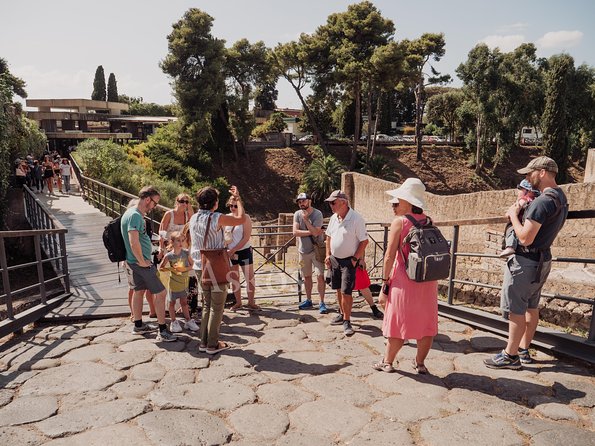 Pompeii and Herculaneum Led by an Archaeologist With Private Transport - Booking Confirmation