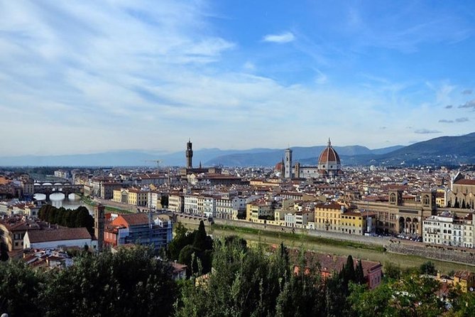 Private Day Trip From Livorno Port to Florence and Pisa - Reviews