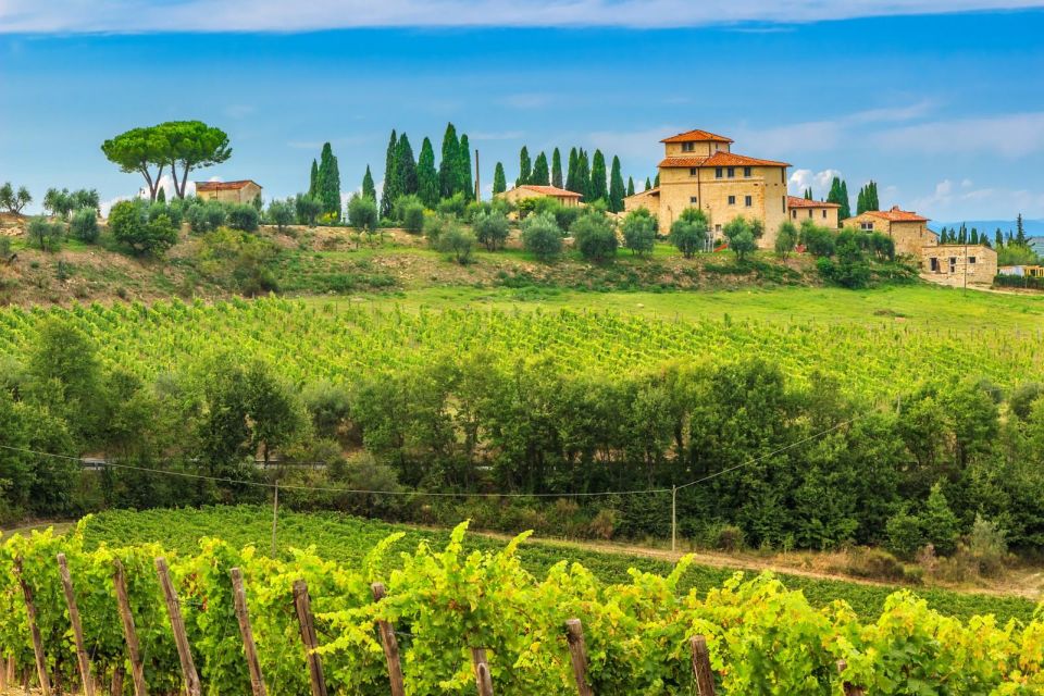 Private Tour of Florence and Chianti - Tour Inclusions