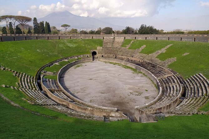 Semi - Private Tour of Pompeii With an Archeologist - Tour Inclusions