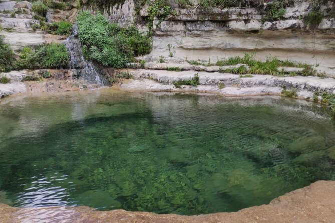 Sicilian Natural Parks, Trekking Eco Tour From the Sea to the Mountains - Cancellation Policy Details