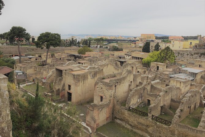 Skip the Line Ancient Herculaneum Walking Tour With Top Rated Guide - Pricing & Booking