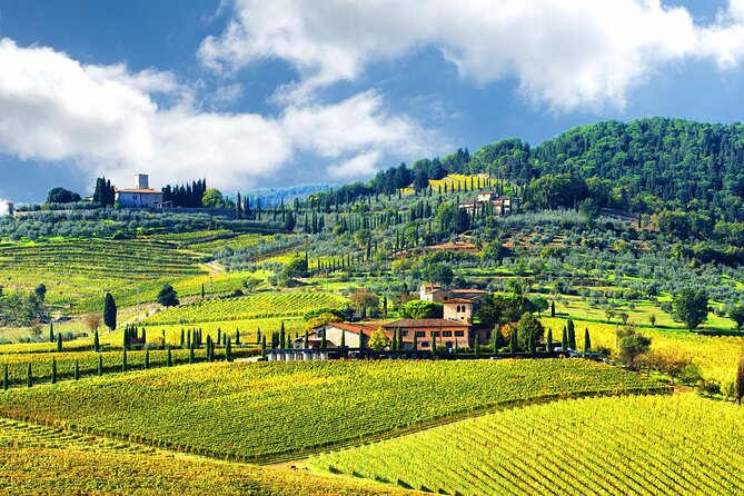 Small Group Pisa Day Trip to Siena and San Gimignano Including Wine Tasting - Wine Tasting Experience Details