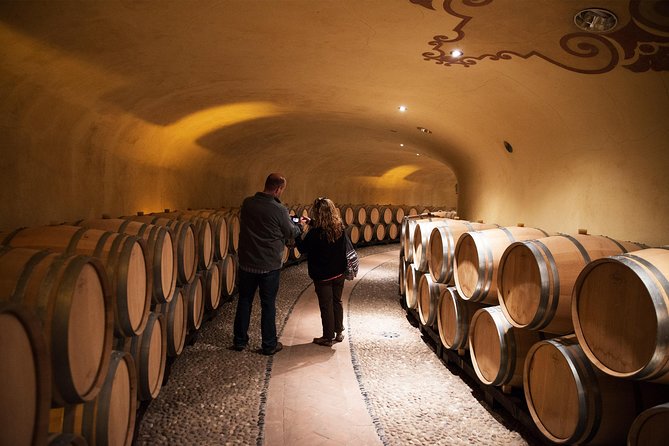 Supertuscan Wine Tour - Masterclass by a Wine Expert - Tasting Experience