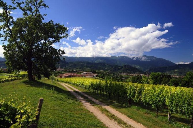 The Original Private Prosecco Tour All Inclusive From Conegliano - Meeting & Pickup