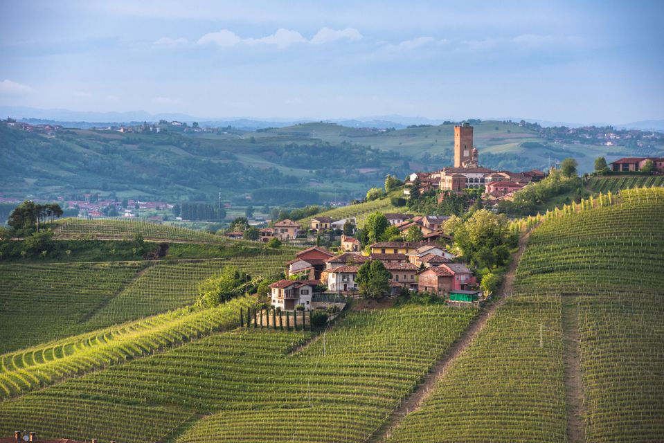 Turin: Private Barolo Wine Region Day Trip With Lunch - Inclusions