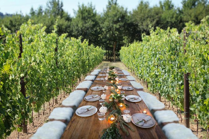 Unforgettable Lunch in the Vine Rows in Tuscany - Highlights