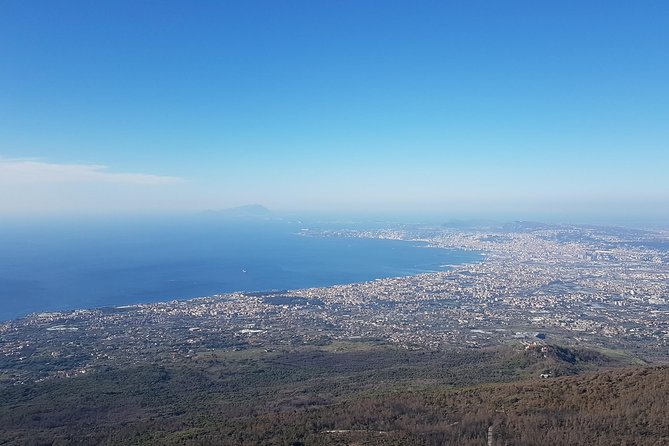 Vesuvius: Half Day Trip From Naples - Meeting and Pickup Details