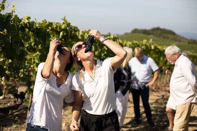 Winery Tour & Wine Tasting in Montalcino - Inclusions Provided on the Tour