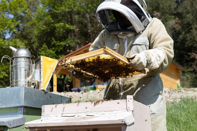 2-Hour Private Guided Activity Discovering Bees in Volterra - Reviews and Ratings