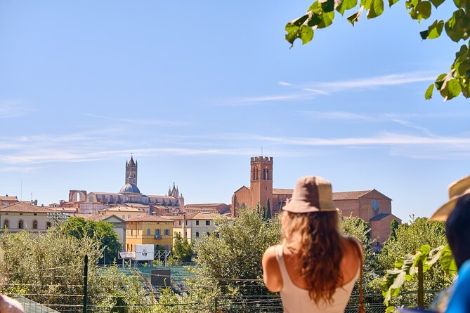 Afternoon in Siena and Chianti Wine Tour With Dinner From Florence - Tuscan Dinner Experience