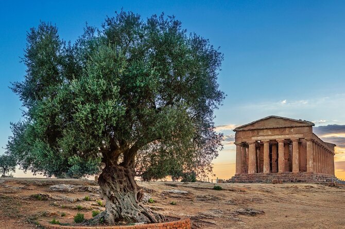 Agrigento; Valley of the Temples, Scala Dei Turchi From Palermo, Private Tour - Inclusions