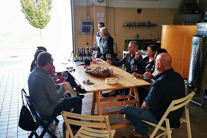 Barolo&Barbaresco Wine Tour With a Local Winemaker - Traveler Reviews