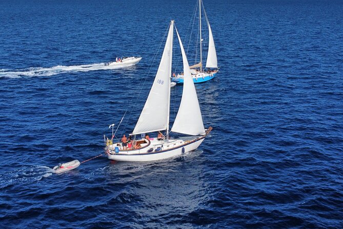 Become a Member and Sail La Maddalena Archipelago (From Palau) - Inclusions