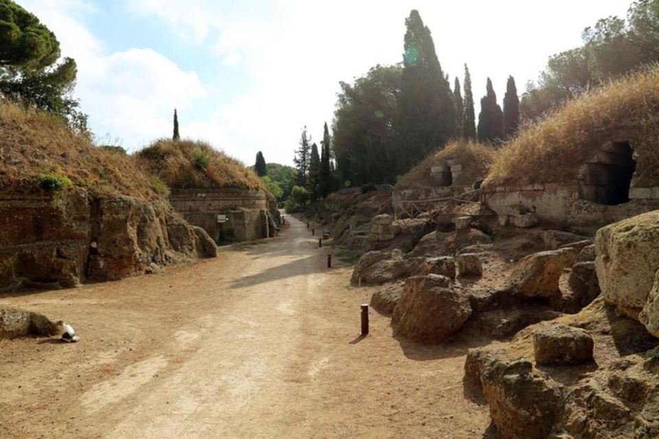 Cerveteri - the Etruscan Necropolis Private Tour From Rome - Additional Information