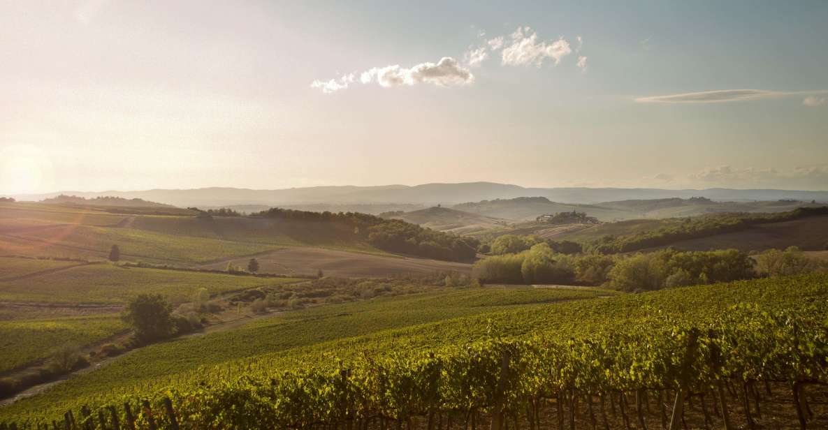 Chianti Classico and Super Tuscan Wine Tour - Restrictions
