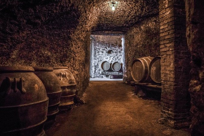 Frascati Wine Tasting Tour: The Flavors of the Roman Countryside - Inclusions in the Tour Package