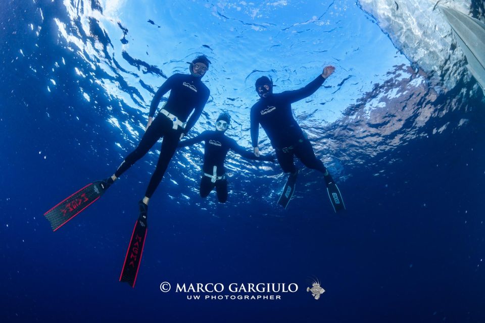 Freediving in the Wild of the Amalfi Coast/Capri/Sorrento: - Restrictions