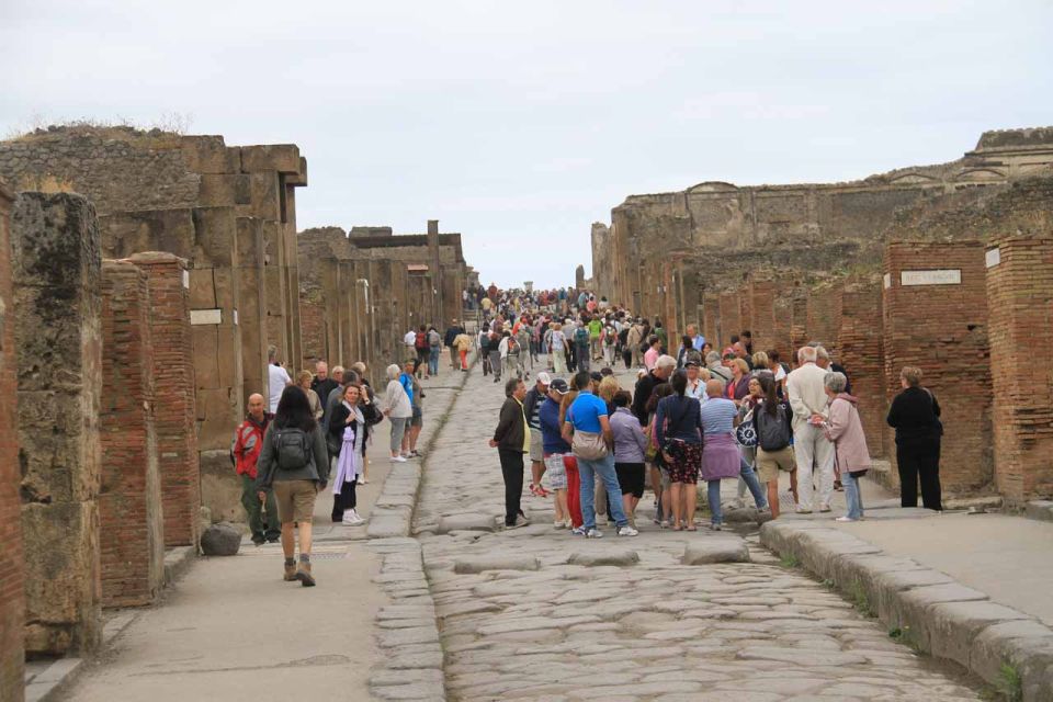 From Naples: Pompeii, Herculaneum, and Vesuvius Private Tour - Important Information