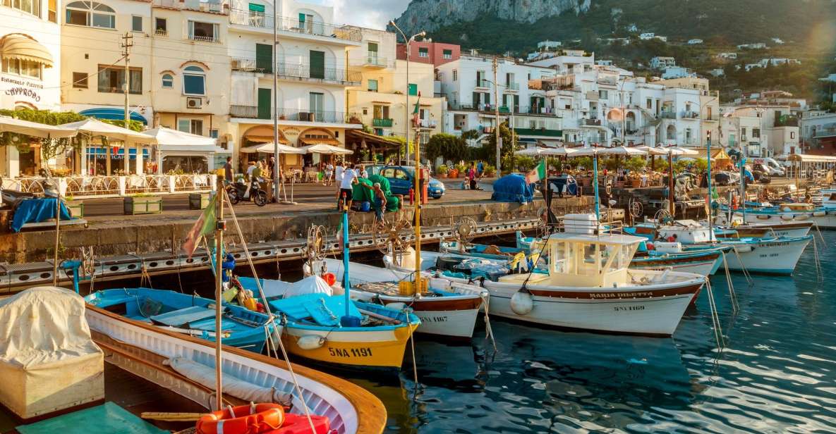 From Sorrento: Capri & Blue Grotto by Boat and Anacapri - Inclusions