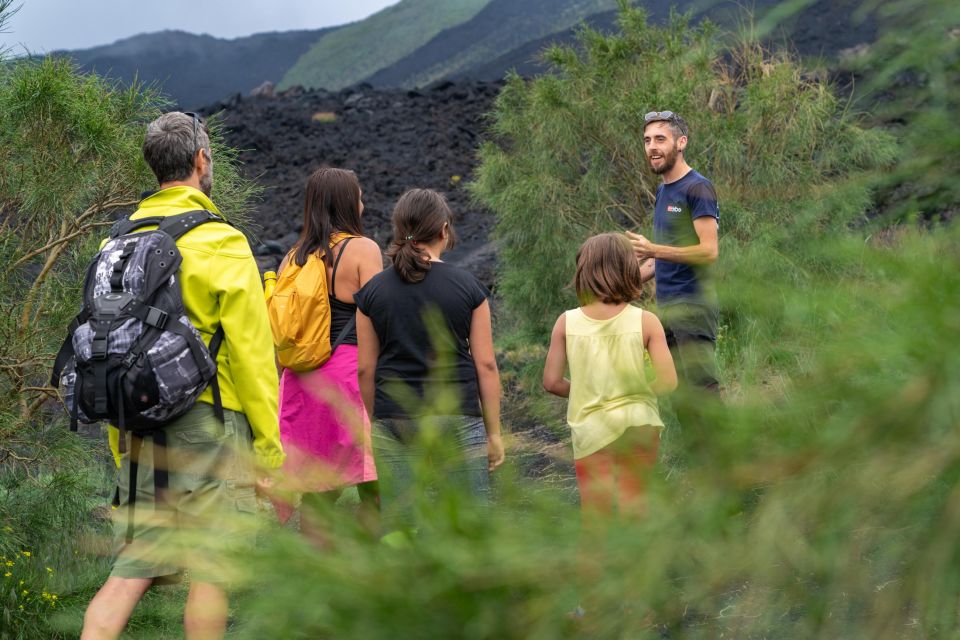 From Taormina: Full-Day Etna & Wine Private Tour - Inclusions