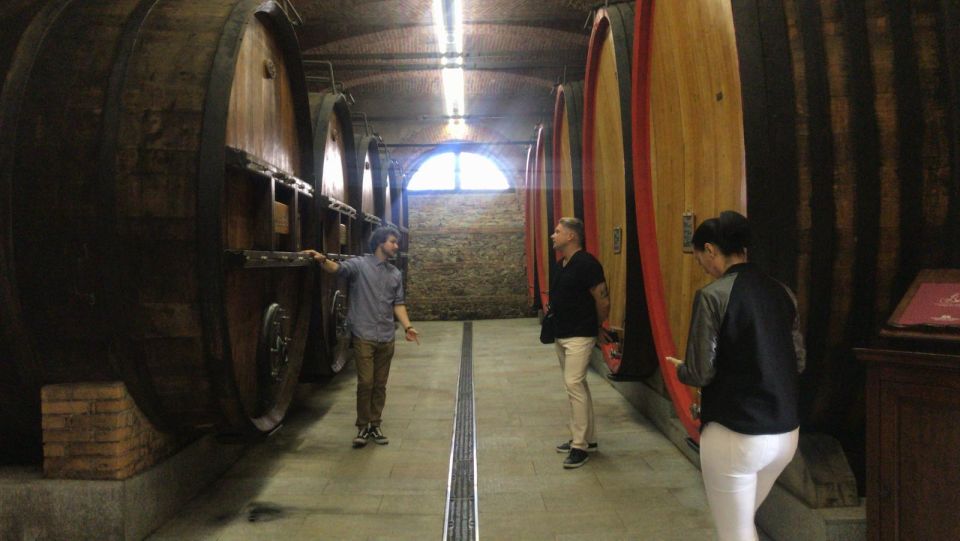Full-Day Langhe Region Tour With Wine Tasting Experience - Important Information