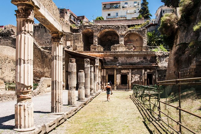 Herculaneum Group Tour From Naples - Accessibility