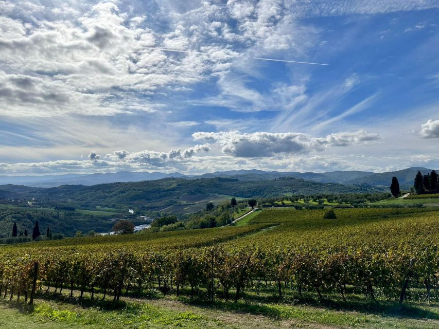 Lucca Private Day Tour to Chianti and San Gimignano - Reservations