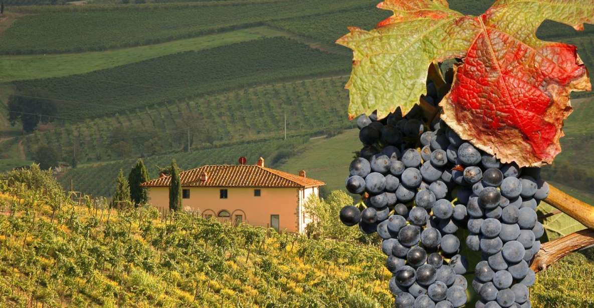 Montalcino Truffle and Wine Tasting Day Tour From Rome - Meeting Point