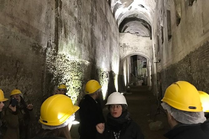 Neros Golden House Restoration Site Tour - Visitor Experiences