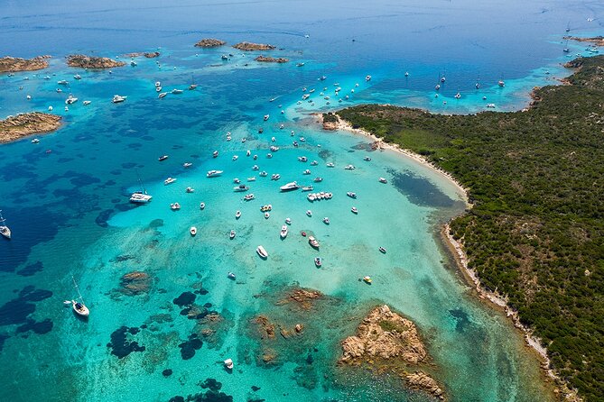 One Day Private Excursion to the La Maddalena Archipelago - Reviews and Testimonials