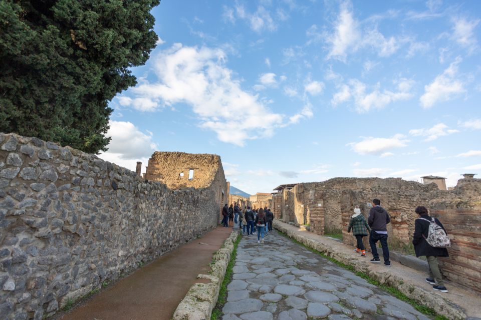Pompeii, Capri and Sorrento 2-Day Tour - Inclusions and Accommodations