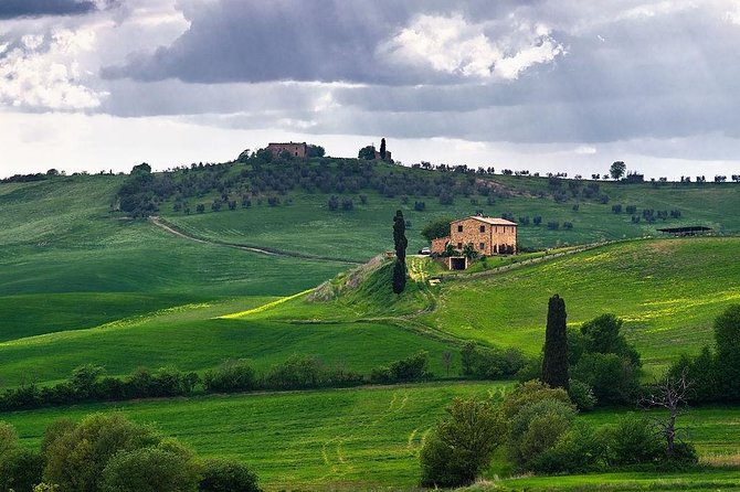 Private Day Trip Tuscany Landscape and Wine Tasting From Florence - Private Transport and Driver