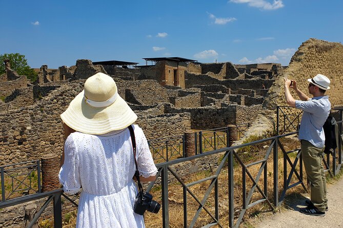 Private Transfer From Naples to Sorrento With Guided Tour in Pompeii - Additional Info