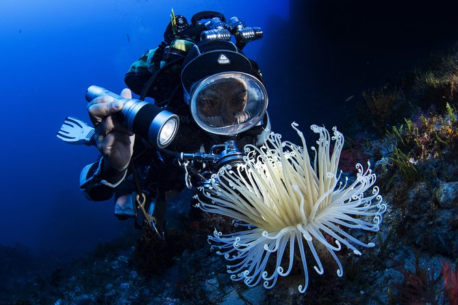 Scuba Diving in Calabria, Italy - Meeting Point Information