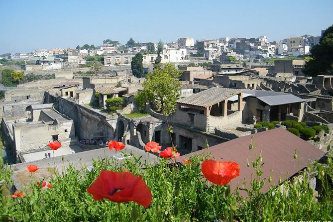 Skip the Line: Herculaneum Ruins Ticket + Optional Guided Tour - Highlights of Herculaneum