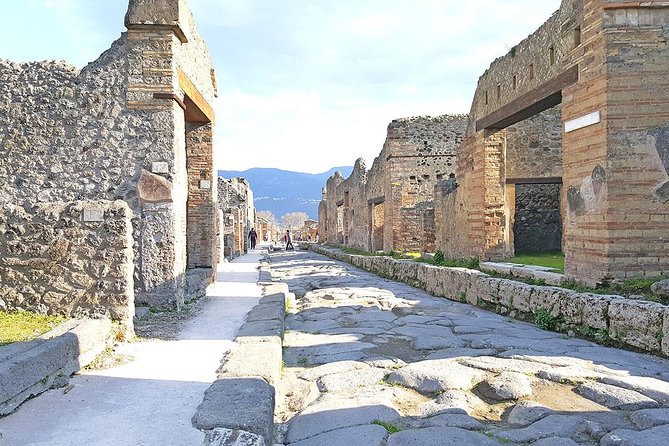 Skip-The-Line Pompeii & Volcano Vesuvius Day Tour W Hotel or Port Pickup - Customer Reviews and Ratings