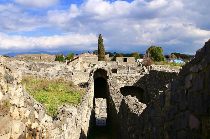 Skip-the-line Private Tour of Pompeii for Kids and Families - Customer Reviews