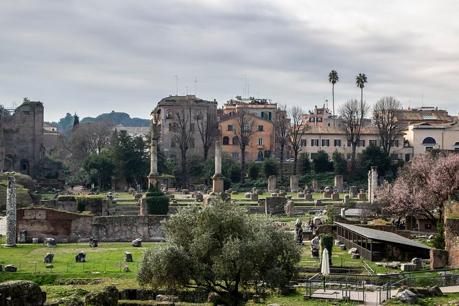 Skip-the-line Private Tour of the Colosseum Forums Palatine Hill & Ancient Rome - Meeting Point