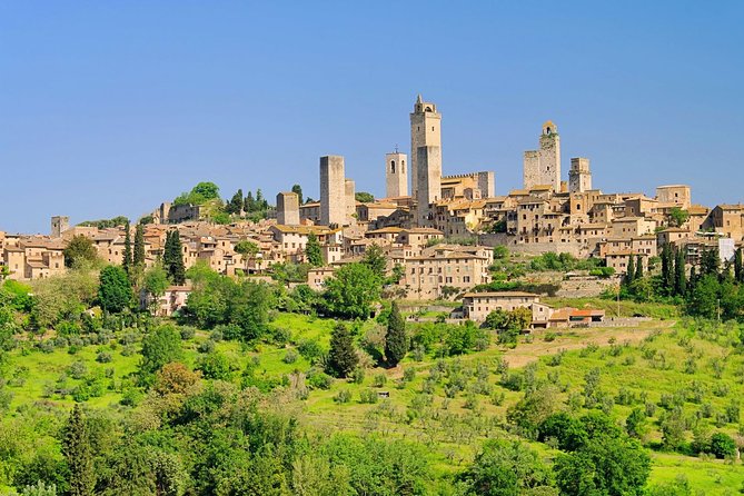 Small Group Pisa Day Trip to Siena and San Gimignano Including Wine Tasting - Traveler Reviews and Recommendations