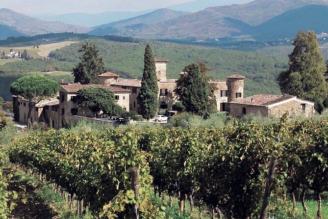 Supertuscan Wine Tour - Masterclass by a Wine Expert - Gourmet Lunch Pairing